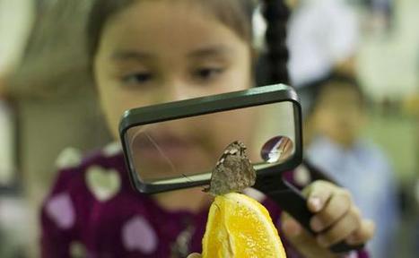 Les sciences participatives font fleurir les vocations scientifiques | Culture scientifique et technique | Scoop.it