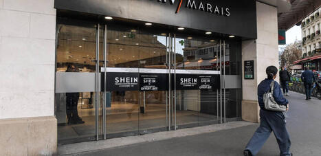 L'ECHO DEMETER : &laquo;&nbsp;On ne lutte pas contre Shein avec de la morale et des p&eacute;titions, mais avec du r&eacute;alisme &eacute;conomique&nbsp;&raquo;&nbsp; | L'ECHO DEMETER | Scoop.it