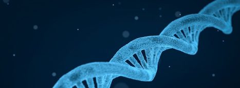 Epigenética: la transmisión de recuerdos en el ADN | Educación, TIC y ecología | Scoop.it