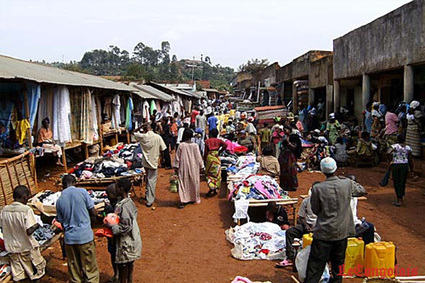 Beni – RD Congo Regroupés pour vendre, les paysans gagnent bien leur vie | Questions de développement ... | Scoop.it