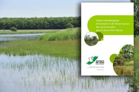 Tout savoir pour la bonne réalisation d'inventaires de zones humides | Guide. Agence de l'Eau Rhin-Meuse | Biodiversité | Scoop.it