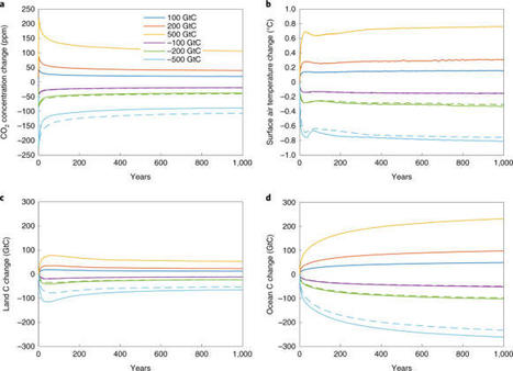 Asymmetry in the climate–carbon cycle res...