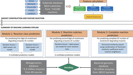 XenoBug: machine learning-based tool to predict pollutant-degrading enzymes from environmental metagenomes | nar | RMH | Scoop.it