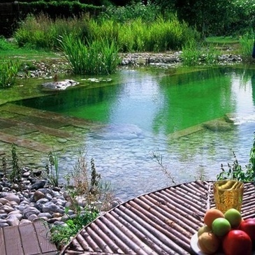 La minute déco: Je veux une piscine naturelle | Eco-Friendly Lifestyle | Scoop.it