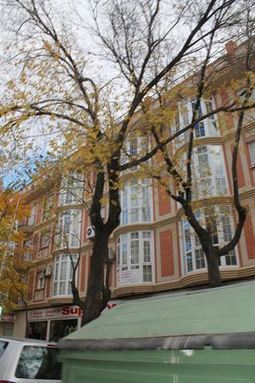 Los hogares espa&ntilde;oles han perdido 75.000 euros de patrimonio en la crisis | Bolet&iacute;n resumen 2018. Las 25 noticias m&aacute;s le&iacute;das | Scoop.it