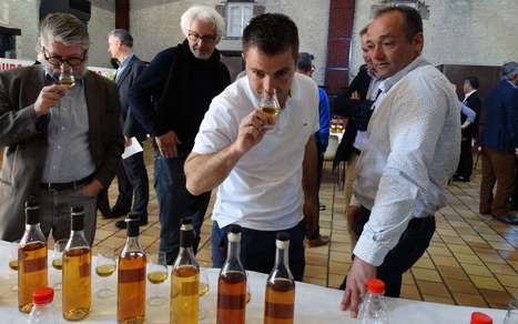 The competition of the finest cognacs produced by distillation craftsmen | The Cognac and its vineyards | Scoop.it