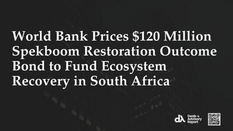 World Bank Issues $120M Spekboom Restoration Bond for South Africa | Deals and Advisory Report a publi&eacute; du contenu sur ce sujet | Biodiversity, Climate Change, Environment, Conservation, Forestry, Fisheries, Oceans and Coasts | Scoop.it