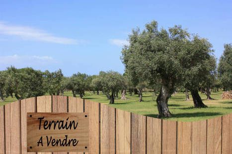 fosse septique terrain non constructible