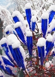 Cobalt blue bottles in the winter garden | Upcycled Garden Style | Scoop.it