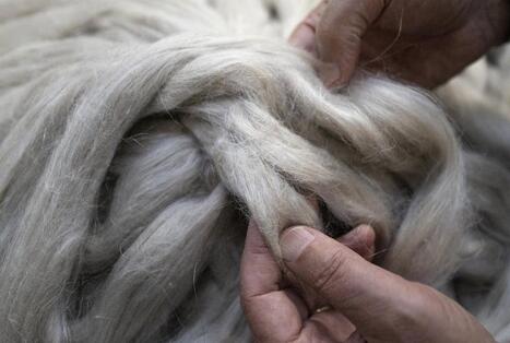 Mat&eacute;riaux produits avec des champignons, cosm&eacute;tiques &agrave; base d&rsquo;algues&hellip; L&rsquo;Europe veut acc&eacute;l&eacute;rer sur la bio&eacute;conomie | ITERG Environnement et Eco-industries | Scoop.it