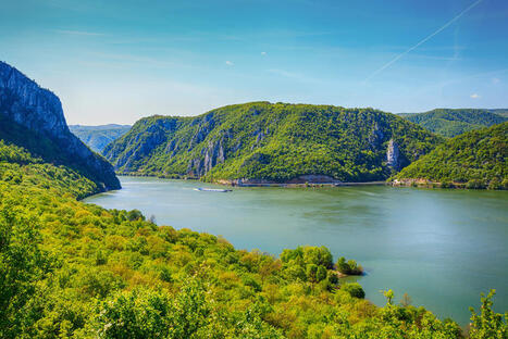 Programme Danube 2027-2028 | Life Sciences Universit&eacute; Paris-Saclay | Scoop.it