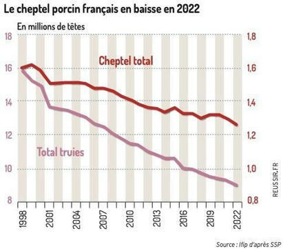 Le cheptel porcin français en baisse en 2022 | Actualité Bétail | Scoop.it