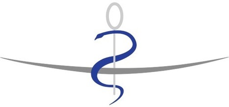 Télémédecine | Conseil National de l'Ordre des Médecins | Télémédecine | Scoop.it