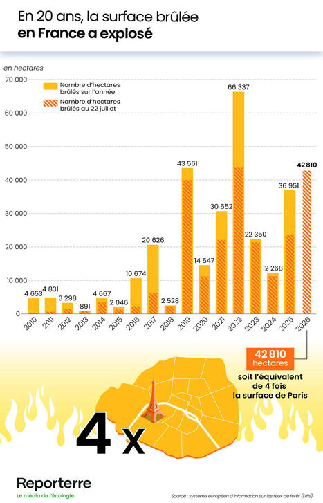 30 fois plus d&rsquo;incendies en 20 ans&nbsp;: la France est entr&eacute;e dans l&rsquo;&egrave;re du feu | Toxique, soyons vigilant ! | Scoop.it