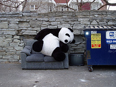 Panda, The Big Google Data Purge | Google Penalty World | Scoop.it