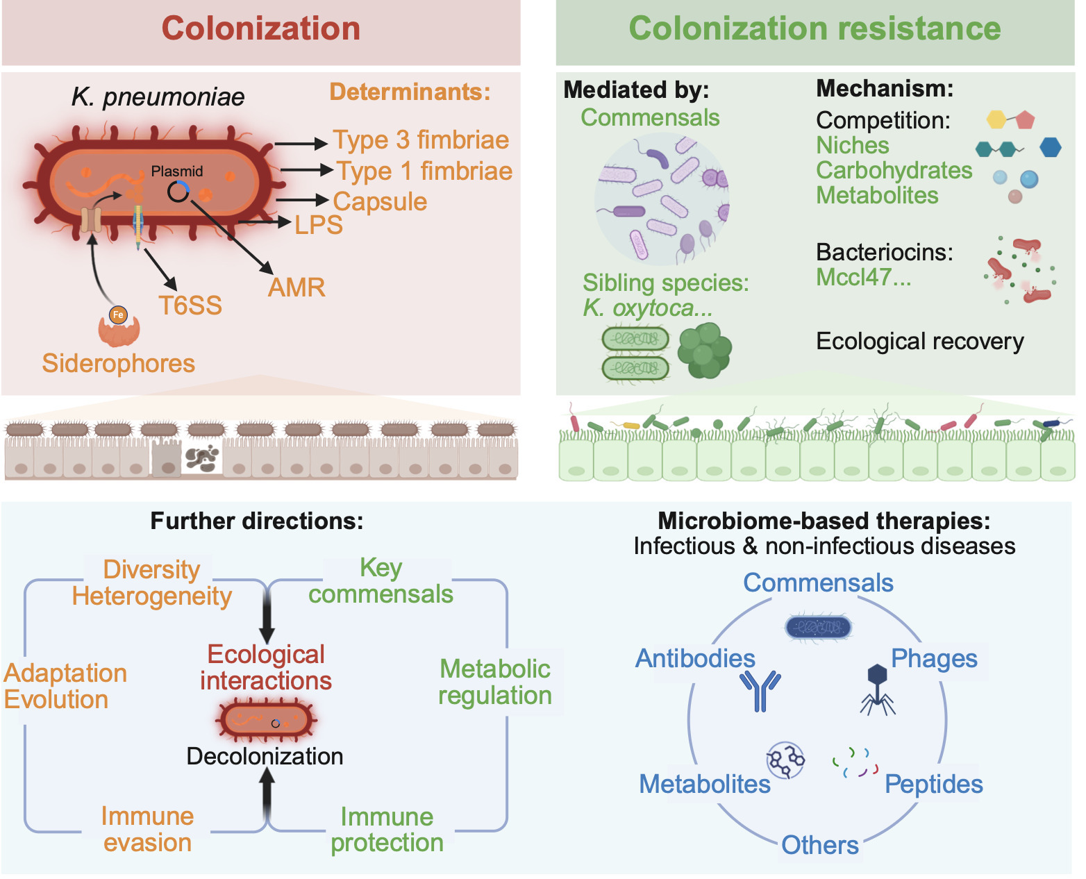 Microbiome-mediated colonization resistance to ...