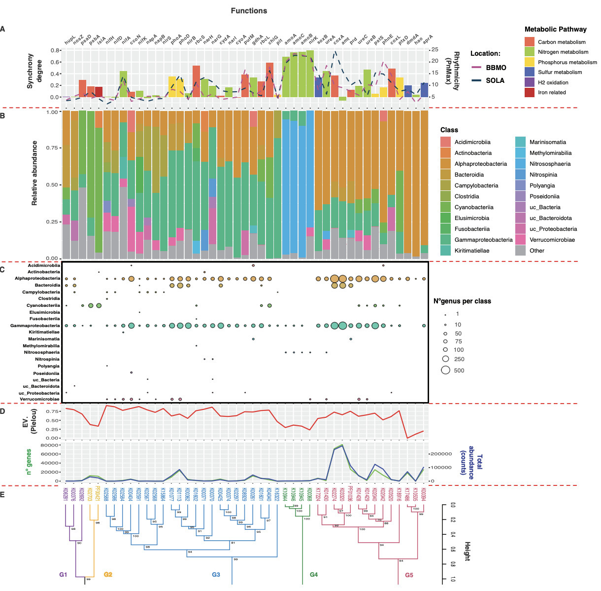 Functional redundancy enables emergent metaboli...