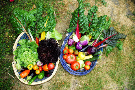 Consommer en temps de crise | Chronique des Droits de l'Homme | Scoop.it