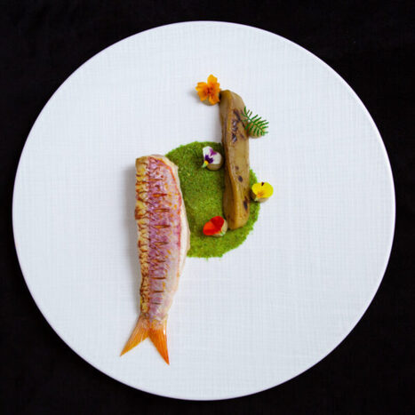 DIETE MEDITERRANEENNE : Le rouget-barbet, un petit POISSON pour une grande CUISINE | CIHEAM Press Review | Scoop.it
