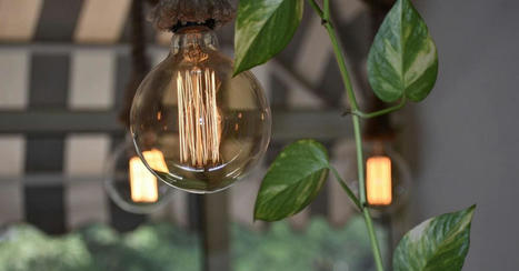 Energie : comment diff&eacute;rencier une offre verte d'une offre "vraiment verte" ? | Build Green, pour un habitat &eacute;cologique | Scoop.it