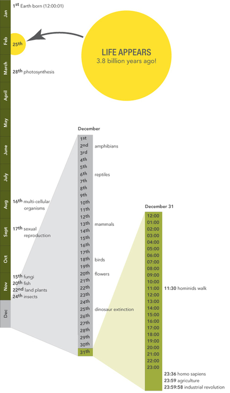 Happy Birthday, Life! | Biomimicry 3.8 | Scoop.it