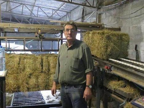 Innovation. La machine &agrave; purifier le foin cherche investisseurs | Cheval et Nature | Scoop.it