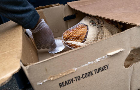 100 Families Fed During Black Feast Week | Black Stories and Inspiration | Scoop.it