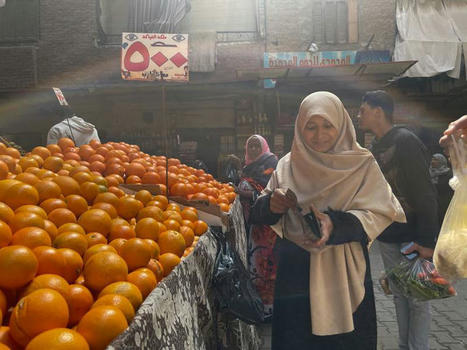 MENA : How EGYPTIANS are changing their diets to cope with higher FOOD prices | CIHEAM Press Review | Scoop.it