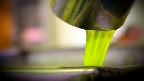 Study Reveals Therapeutic Properties of EVOO Polyphenols on Childhood Cancer | OLIVE NEWS | Scoop.it