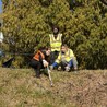 Industry 411 - Waste Management