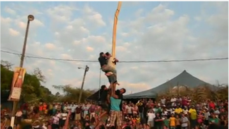 Greased Pole Contest at Succotz Fair | Cayo Scoop!  The Ecology of Cayo Culture | Scoop.it
