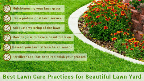 best lawn care company