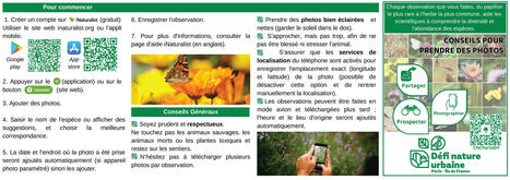 Inventaire express de la diversité en Île-de-France avec iNaturalist | Variétés entomologiques | Scoop.it