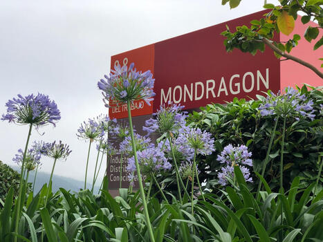 Extra Pa&iacute;s Vasco: El humanismo como sistema de gesti&oacute;n&nbsp; | Albisteak | Scoop.it