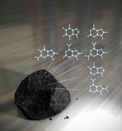 Identifying the wide diversity of extraterrestrial purine and pyrimidine nucleobases in carbonaceous meteorites | Nature Communications | Bioscience News - GEG Tech top picks | Scoop.it