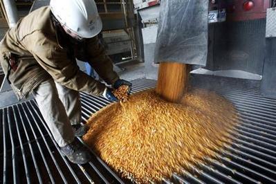 Ethanol : les Etats-Unis vont rester num&eacute;ro un mondial - ouest-france.fr | Agriculture en Pays de la Loire | Scoop.it