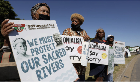 Indigenous Biodiversity: Amazon Buying Albany Thicket Region: Eastern Cape Indigenous spekboom Plant, rivers, biodiversity, under Threat using Climate Financing, Green Economy disguise | BIOECONOMY, Climate-Nature-Finance, Financial Reforms, Economic Reforms, Tax Reforms | Scoop.it