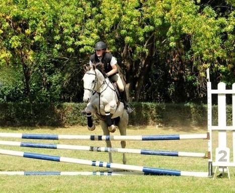 Brillante desempeño de amazonas piquenses en Olavarría | Caballo, Caballos | Scoop.it