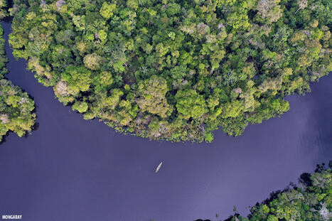 Indigenous lands & protected areas are barely offsetting emissions from damage in the rest of the Amazon | RAINFOREST EXPLORER | Scoop.it