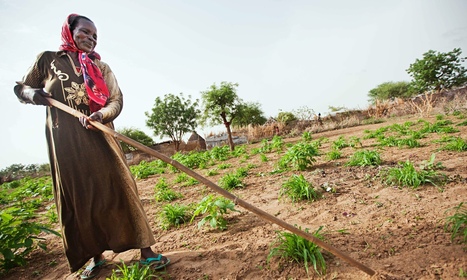 How effective have agricultural land tenure reforms been in Africa? | Food & Nutrition Security in East Africa | Scoop.it