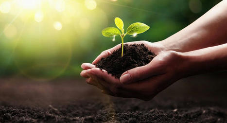 How Samsung is Shaping a Sustainable Future with Responsible Innovations | Sustainable Procurement & CSR News - ICT Industry | Scoop.it