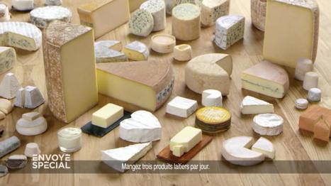AOP : Des fromages à la chaîne - Vidéo Envoyé spécial | Lait de Normandie... et d'ailleurs | Scoop.it