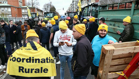 Un agriculteur au bord de la crise de nerfs | Elevage et société | Scoop.it