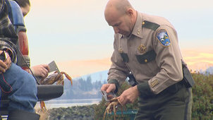 Wildlife cops bust black market crab ring | Coastal Restoration | Scoop.it
