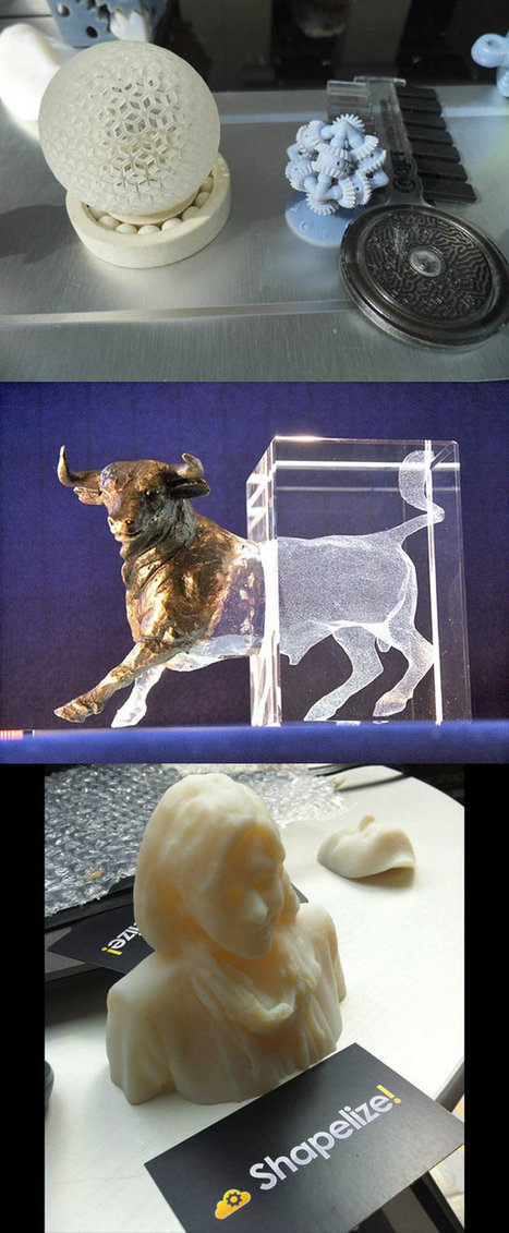 Dimension 3 2013 : Shapelize, nouveau-venu dans l'impression 3D - Actualité sur 3DVF.com. | Veille sur les technologies d'impression 3D | Scoop.it
