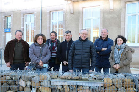 Saône-et-Loire : le concours de bovins de boucherie d'Autun s'ouvre aux autres races et aux agneaux charollais | Actualité Bétail | Scoop.it