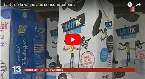 Laitik : De la vache aux consommateurs | Lait de Normandie... et d'ailleurs | Scoop.it