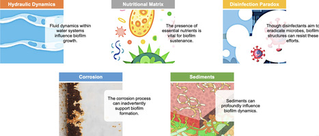 Combatting biofilms in potable water systems: A comprehensive overview to ensuring industrial water safety | emb | RMH | Scoop.it