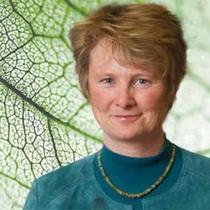 Sustainability's best offer presentations at Omega conference - Sustainable Industries | Peer2Politics | Scoop.it