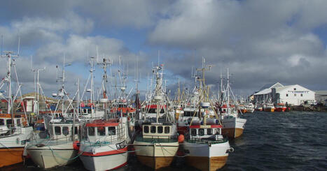 NORWAY: Is it realistic for fishing vessels to achieve zero emissions? | LE GRAND NORD | Scoop.it